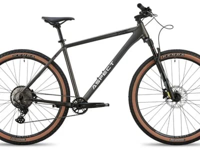 Aspect Big Boy 29 2026 Серый