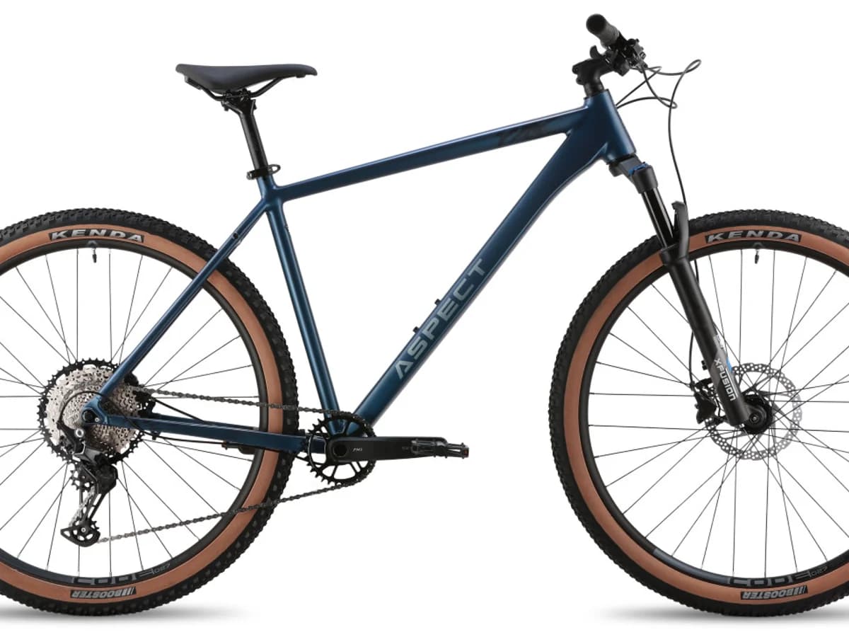 Фото 1 — Aspect Big Boy Pro 29 2026 Синий Синий