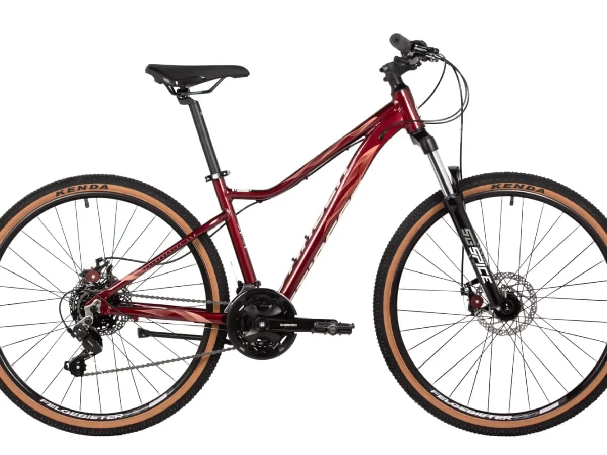 Фото 1 — STINGER LAGUNA 26" 2025 красный красный