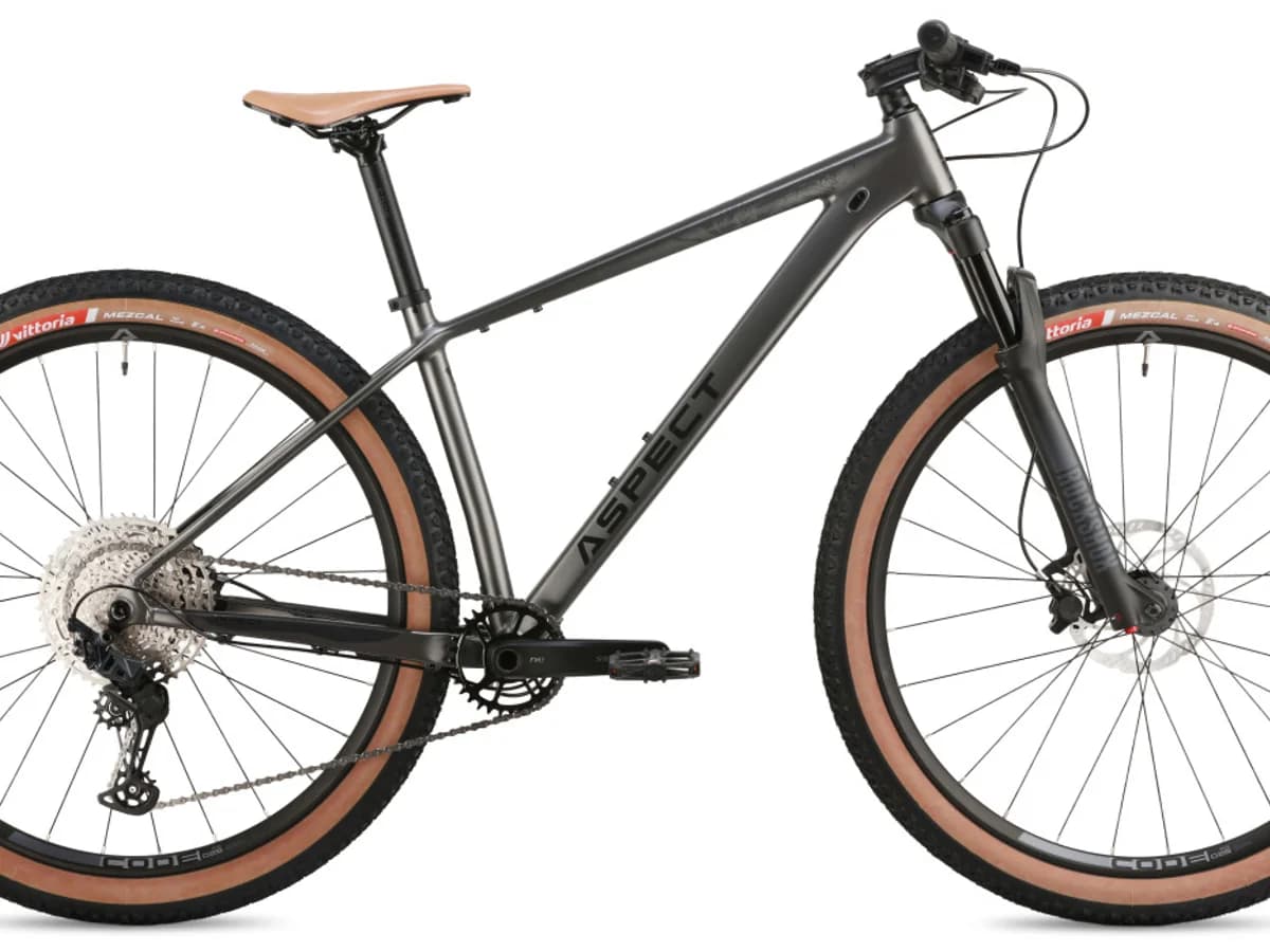 Фото 1 — Aspect AMP Expert 29 2026 Серый Серый