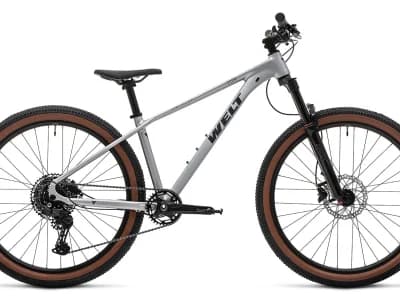 Welt Icon 3.0 27 2026 Brutal Silver