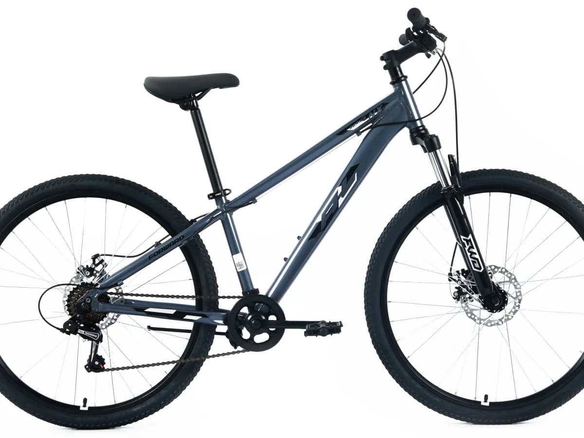 Фото 1 — Forward AL NX 29 2025 темно-серый/серебристый металлик темно-серый/серебристый металлик