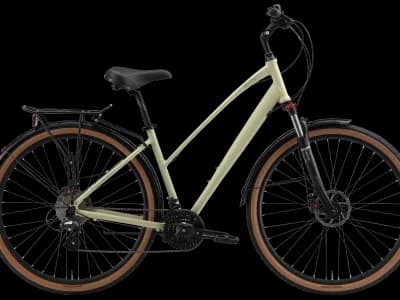 Stark Touring 28.2 D LADY 2025 палевый матовый/серый