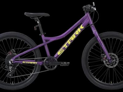 Stark Slash 24.1 D 2025 фиолетовый матовый/кислотно-желтый