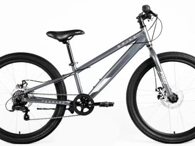 Forward SPIKE 24 D 2025 серый/серебристый