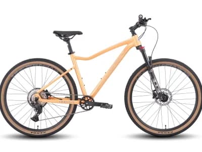 Hagen Q9 27.5 2025 пастельный коралл, полуматовый