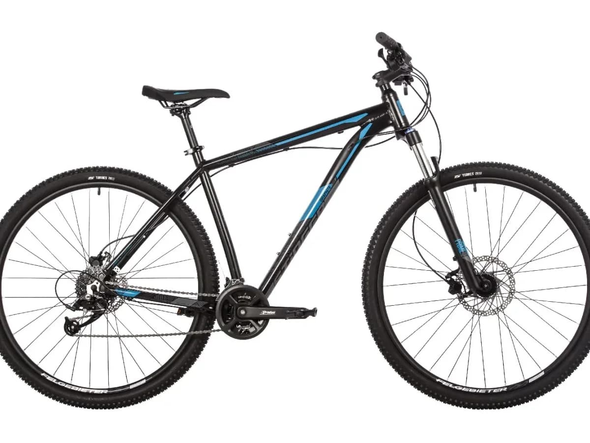 Фото 1 — STINGER Graphite EVO 29  чёрный чёрный