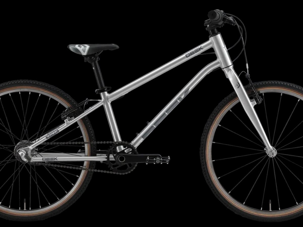 Фото 1 — Stark 25 Geek City 24.2 V 2025 лакированный алюминий/темно-серый лакированный алюминий/темно-серый