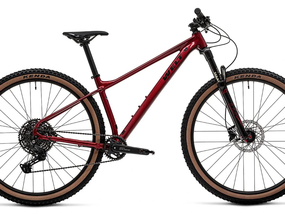 Фото 1 — Welt Rambler 2.0 2025 Baron Red Baron Red
