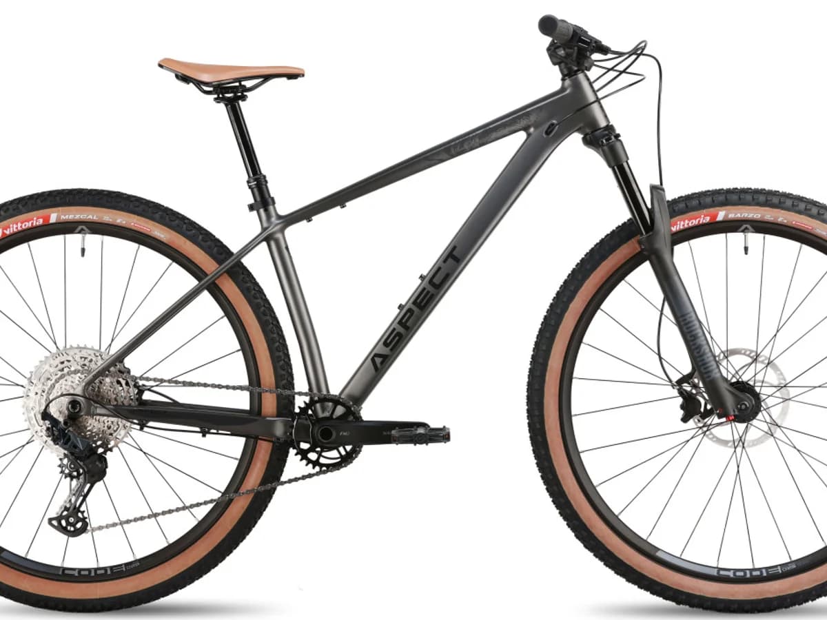 Фото 1 — Aspect AMP DC Expert 29 M 2026 Серый Серый