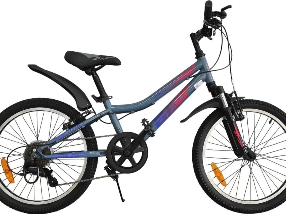 Фото 1 — Aist Pirate 2.0 20" 2025 серый серый