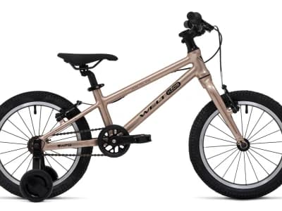 Welt Teddy 16 2025 Rocky Biege