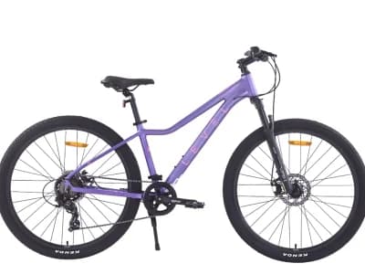 Level Velvet 27.5 2026 Фиалка матовая