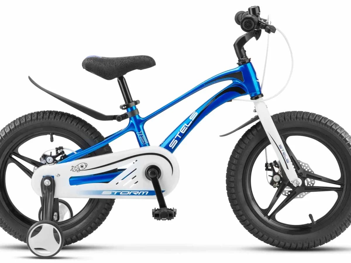Фото 1 — Stels Storm MD 16 Синий Синий