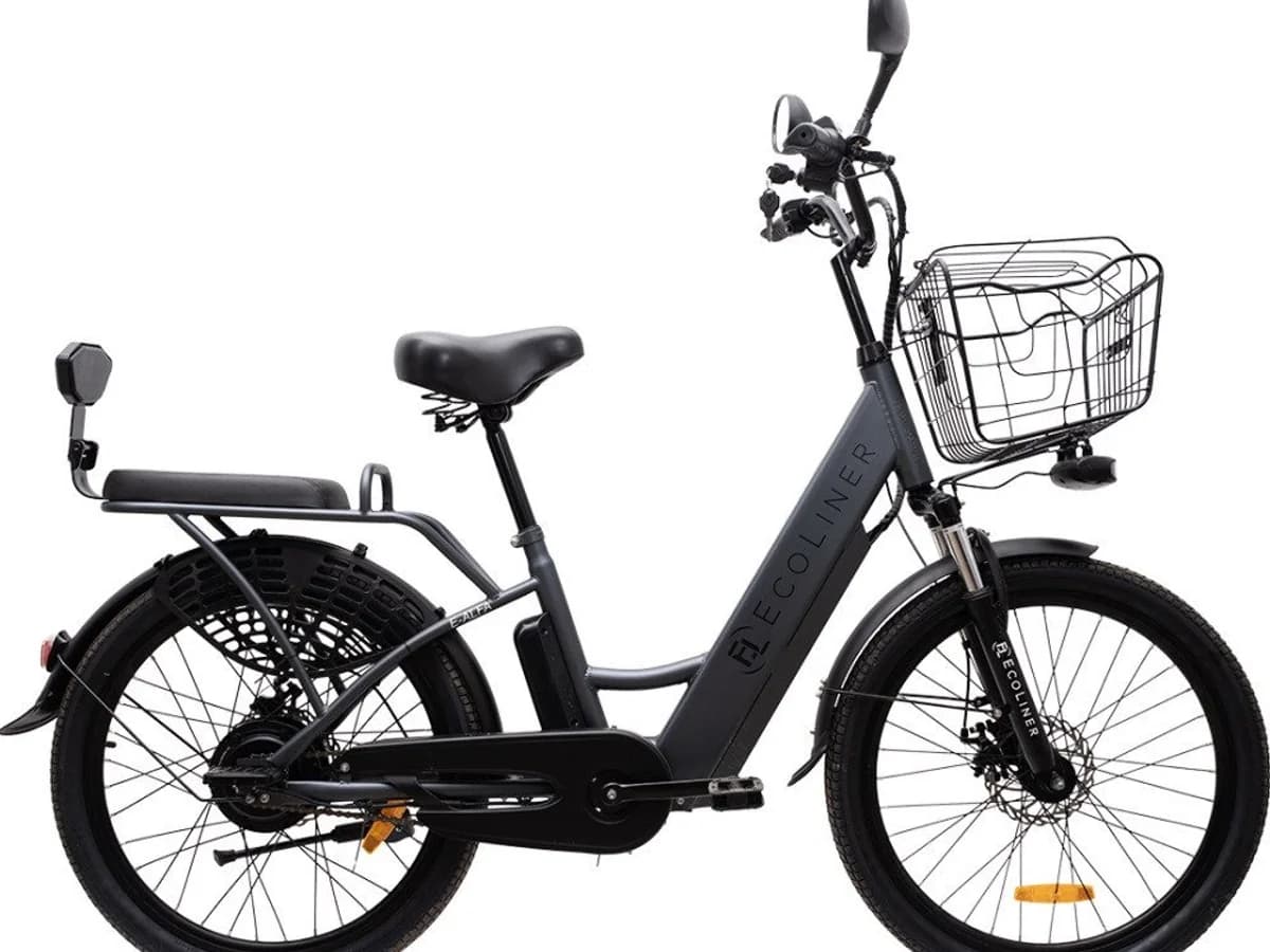 Фото 1 — Ecoliner E-Alfa 24 240Вт 48В 14А/ч Чёрный Чёрный